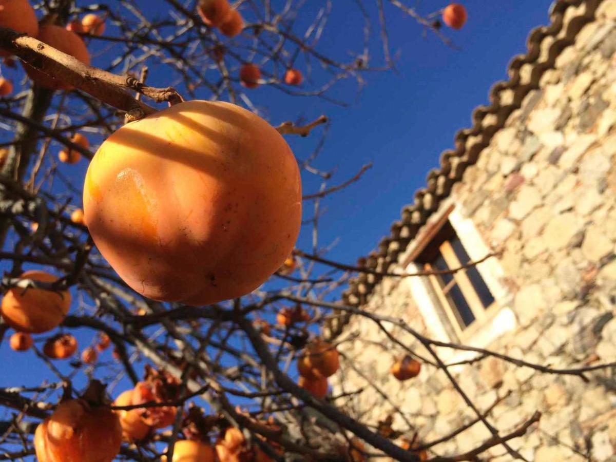 Masia De Vallforners Tagamanent Esterno foto