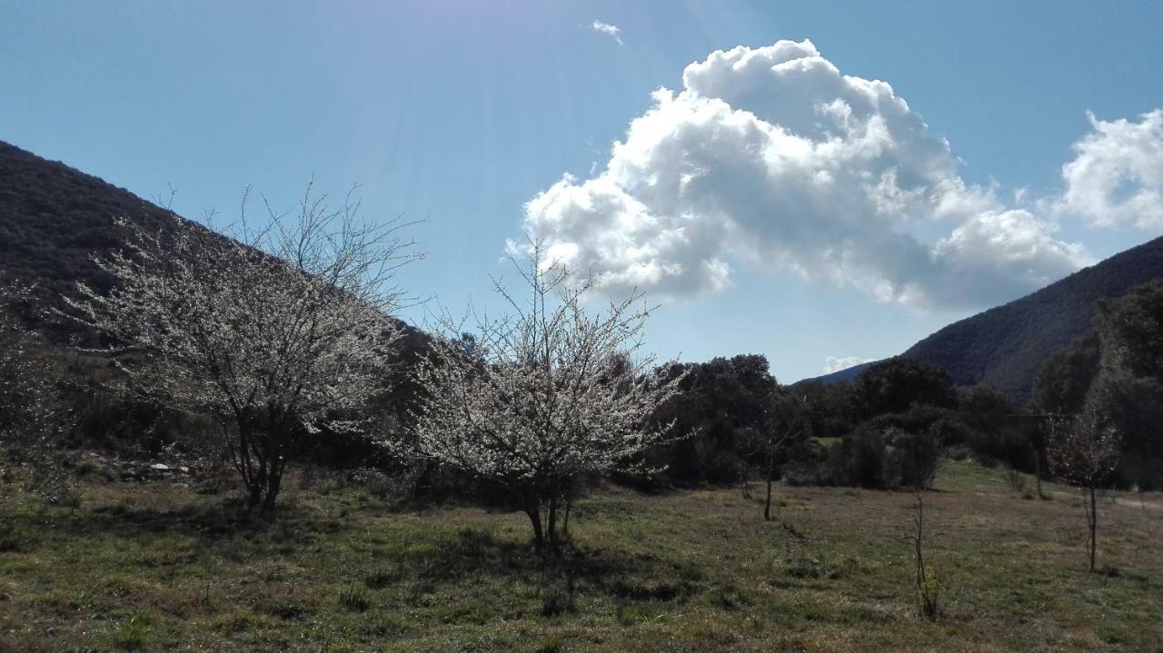 Masia De Vallforners Tagamanent Esterno foto