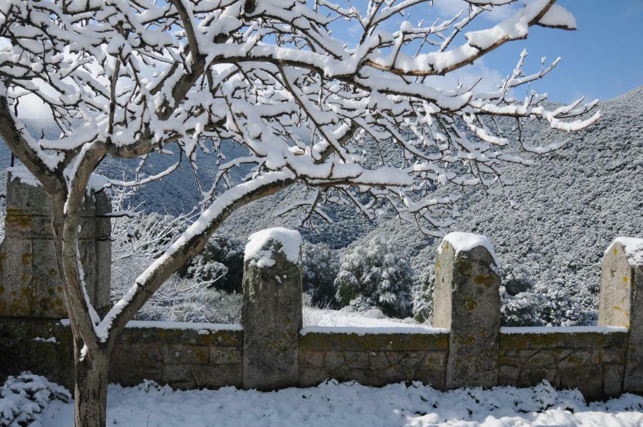 Masia De Vallforners Tagamanent Esterno foto