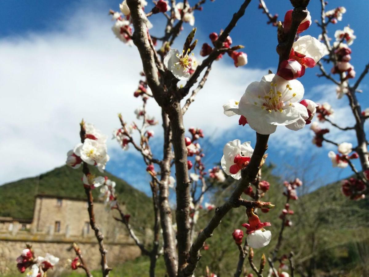 Masia De Vallforners Tagamanent Esterno foto